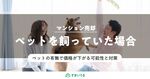 プロ直伝!ペットのいるマンション売却で知っておくべき3つのコツ